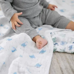 Aden + Anais Essentials Cotton Muslin Swaddle Blanket 2 pk - Time To Dream