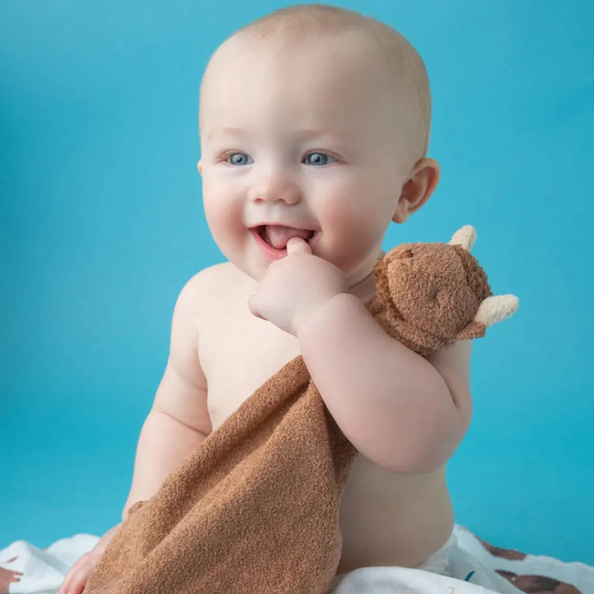Angel Dear Blankie - Bison