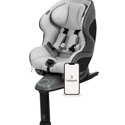 Babyark Convertible Car Seat, Smart - Charcoal Grey / Glacier Ice