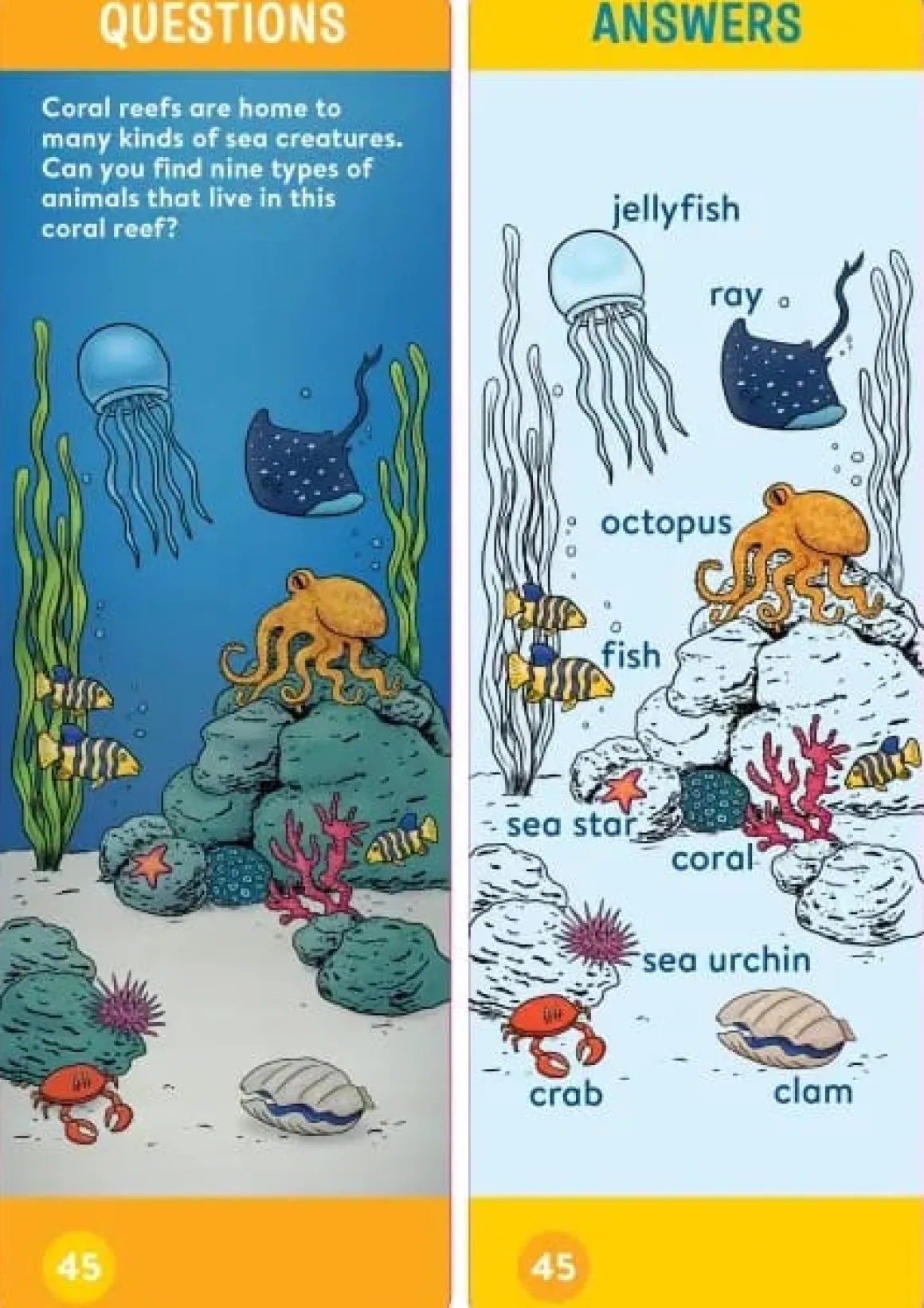 Brain Quest Kindergarten Smart Cards Revised 5th Edition