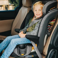 Chicco MyFit Harness Booster Car Seat - Iron