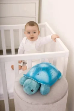 Cloud b Twinkling Twilight Turtle - Aqua