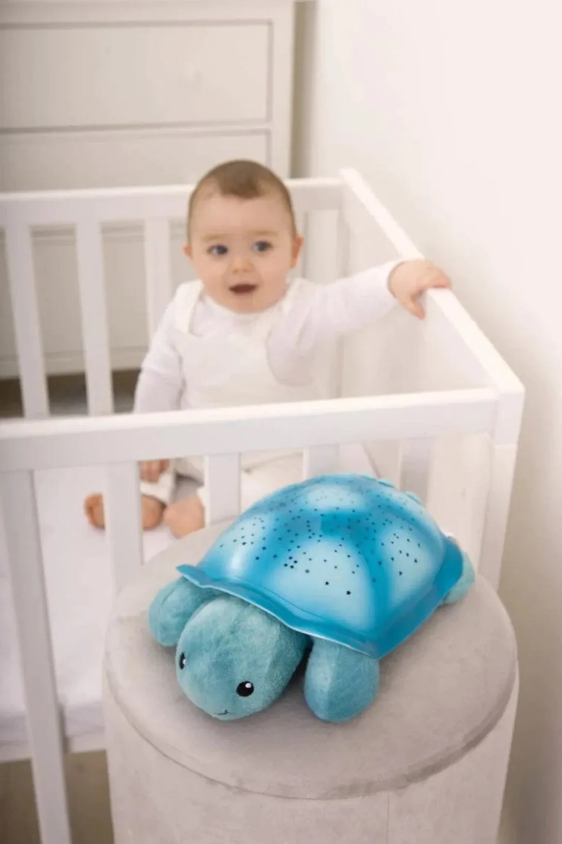 Cloud b Twinkling Twilight Turtle - Aqua