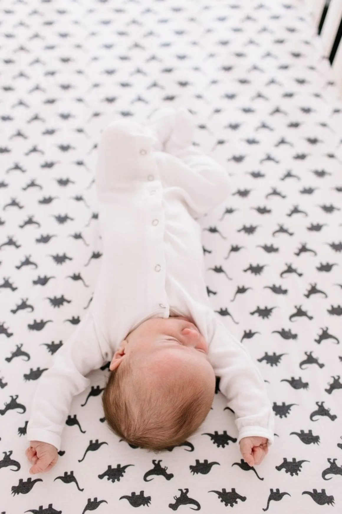 Copper Pearl Premium Fitted Crib Sheet - Wild
