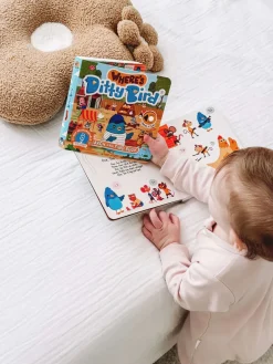 Ditty Bird Musical Books - Where's Ditty Bird