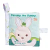 Douglas Parsnip Bunny Activity Book