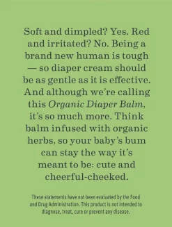 Earth Mama Organic Diaper Balm, 2 fl. oz.