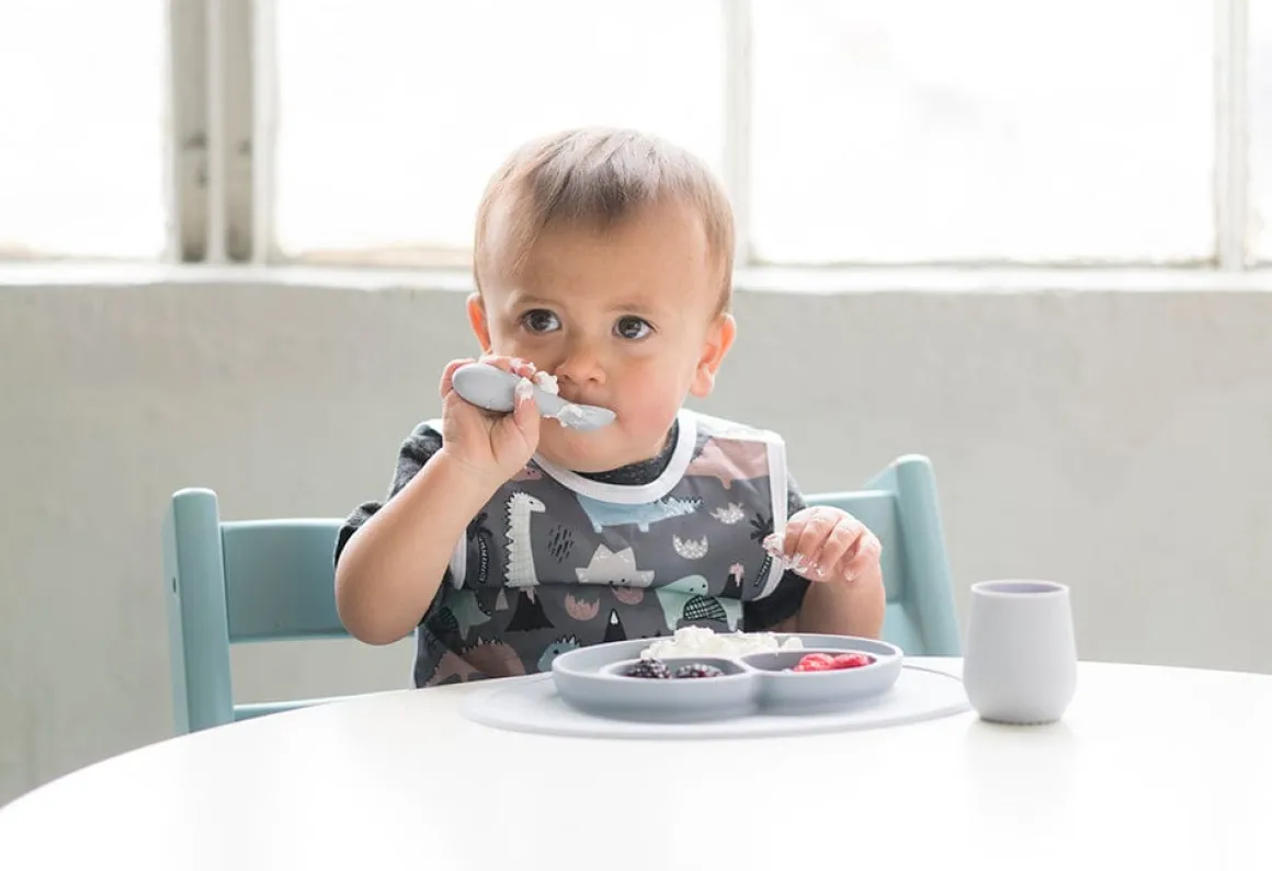 EZPZ First Foods Set - Pewter