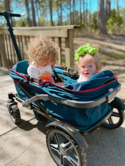 Gladly Family AnthemZ All-Terrain (2 Seater) Stroller Wagon - Wild Berry