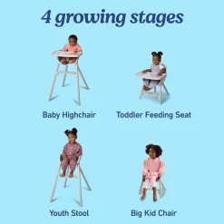 Graco Ready2Dine 4-in-1 High Chair - Walker