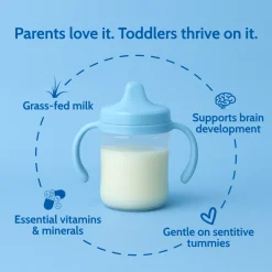 Holle Cow Milk Toddler Drink 6-Tin Bundle