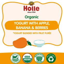 Holle Organic Mango Yogurt Pouches