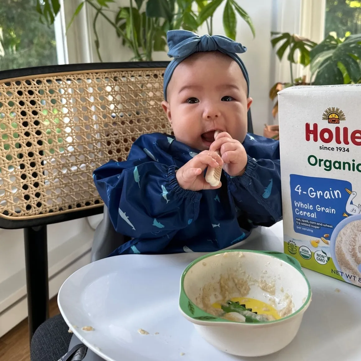 Holle Organic Whole Grain 4-Grain Cereal - 6 Pack