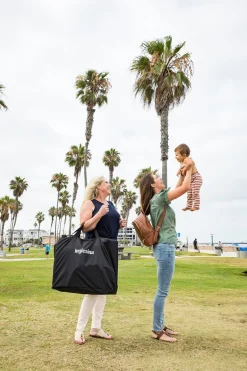 Inglesina Quid 3 Stroller Carry Bag