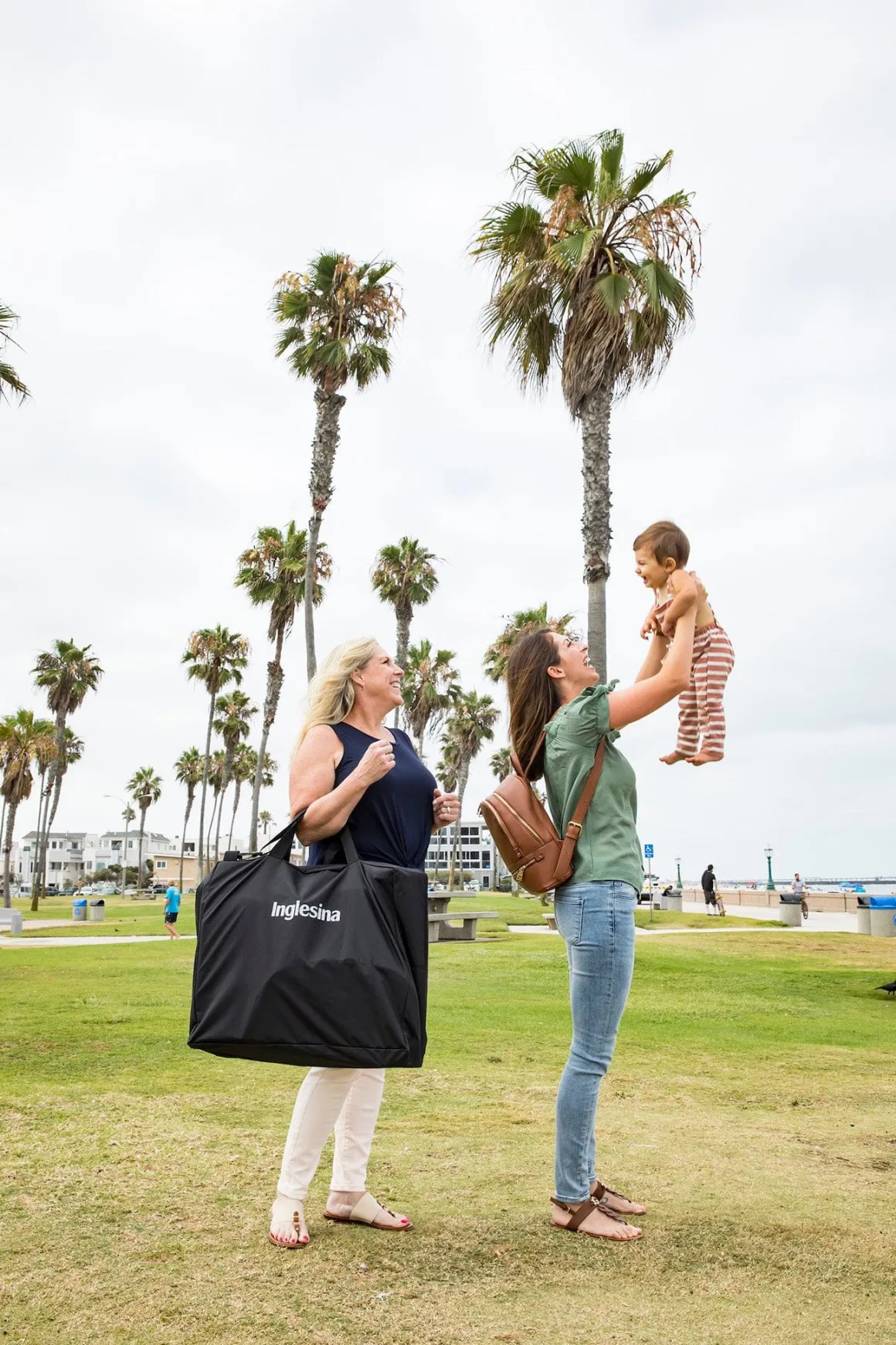 Inglesina Quid 3 Stroller Carry Bag