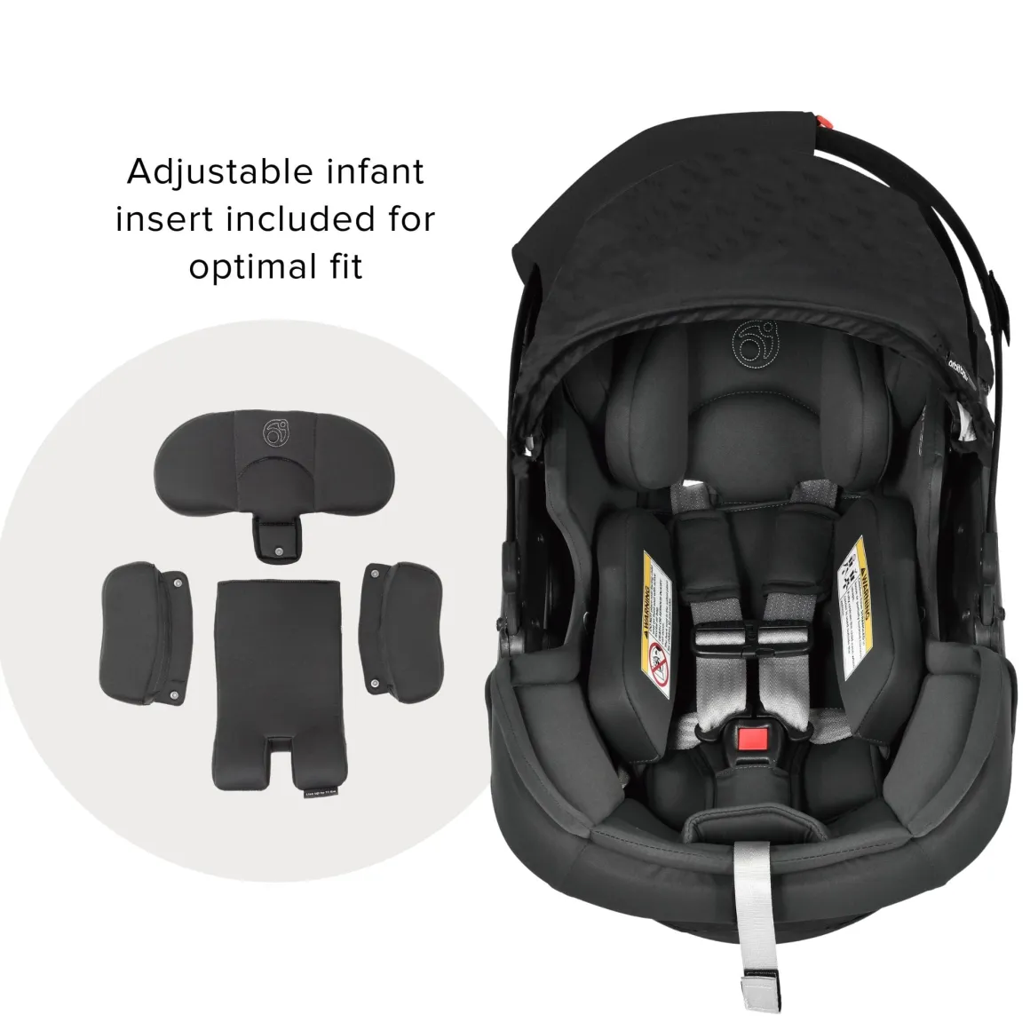 Jog, Lounge, & Ride Travel System
