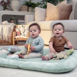 Kids2 Ingenuity Calm Springs Plush Activity Gym - Chic Boutique