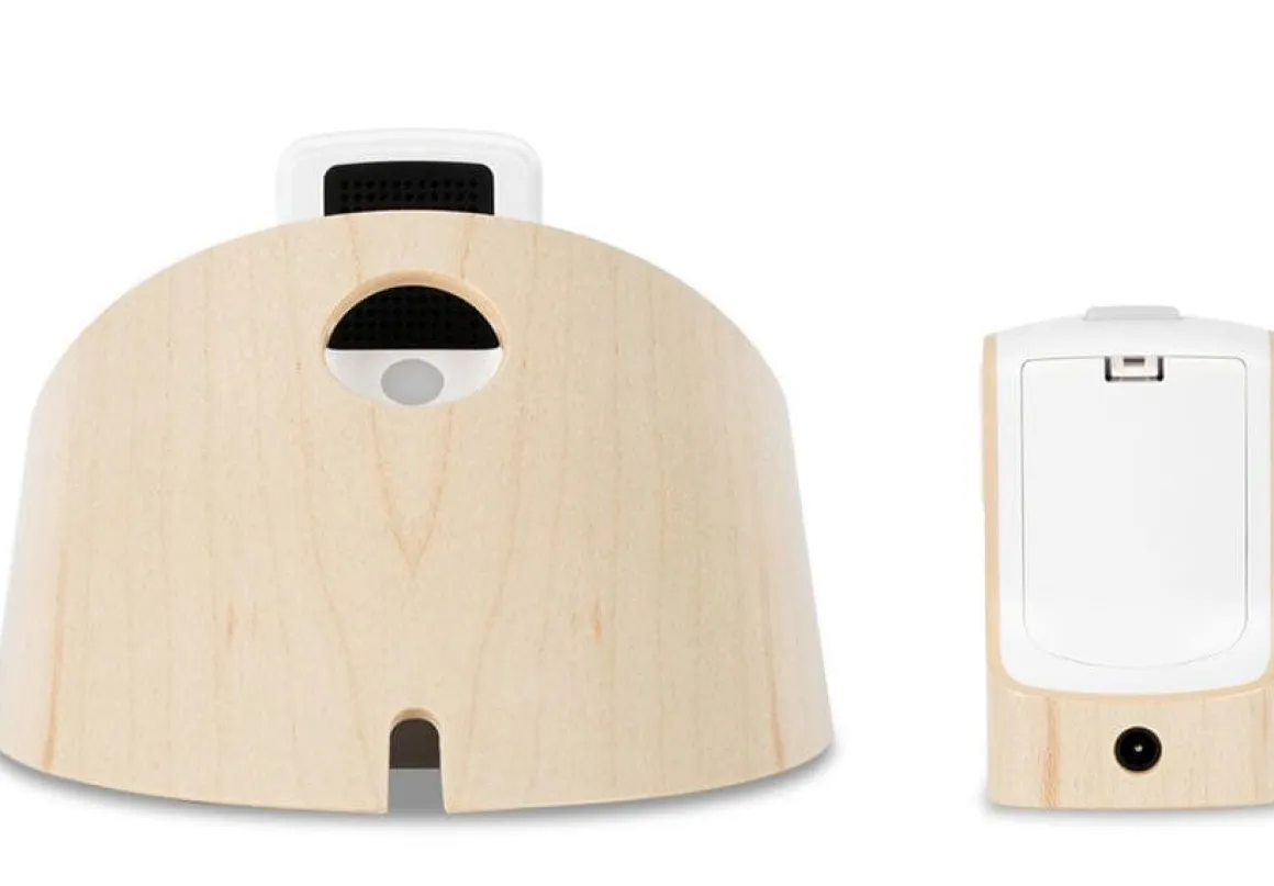 Kodak Baby Monitoring System