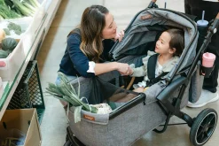 Larktale Sprout V2 Single-to-Double Stroller Wagon - Nightcliff Stone