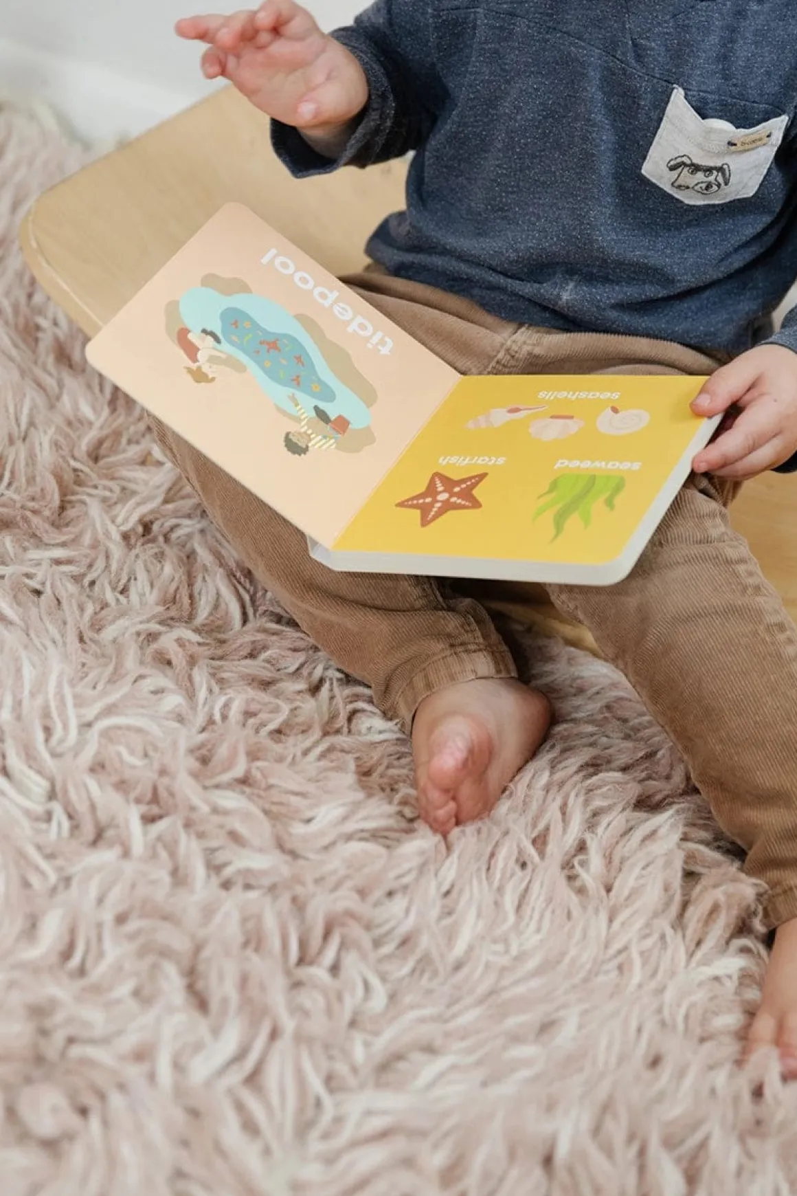 Left Hand Book House Board Book - Beach Baby