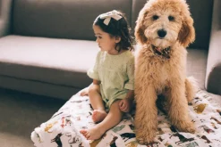 Little Unicorn Cotton Muslin Big Kid Quilt - Woof