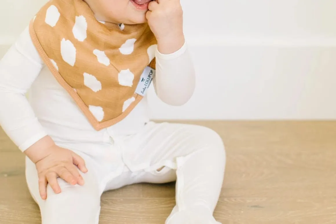 Loulou Lollipop Luxe Muslin Bandana Bib Set - Safari Jungle