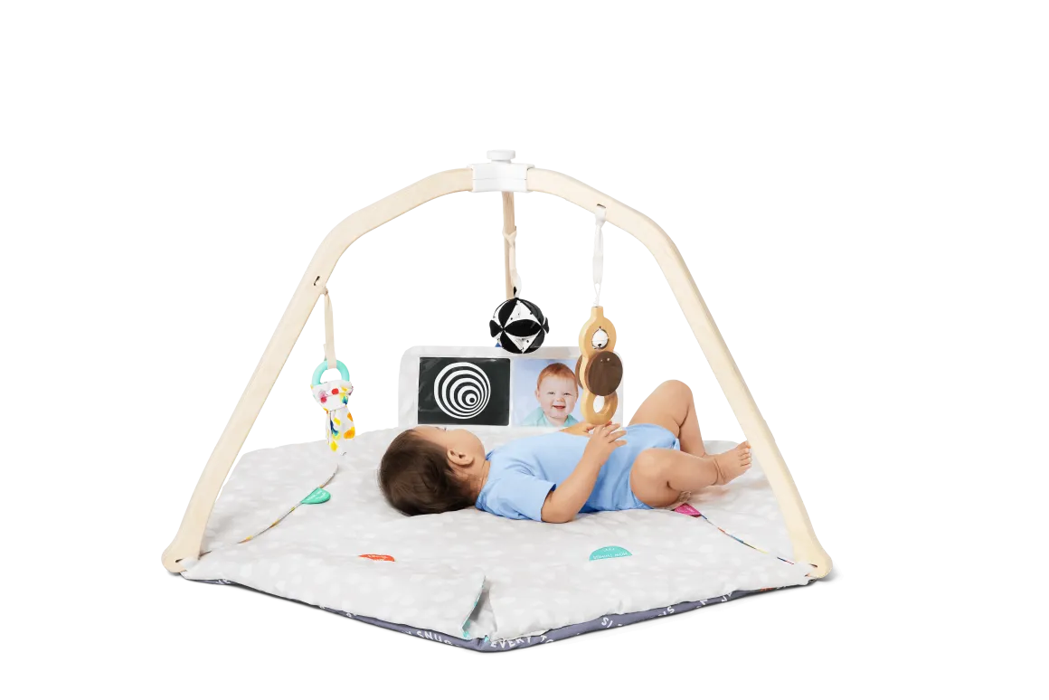 Lovevery The Play Gym