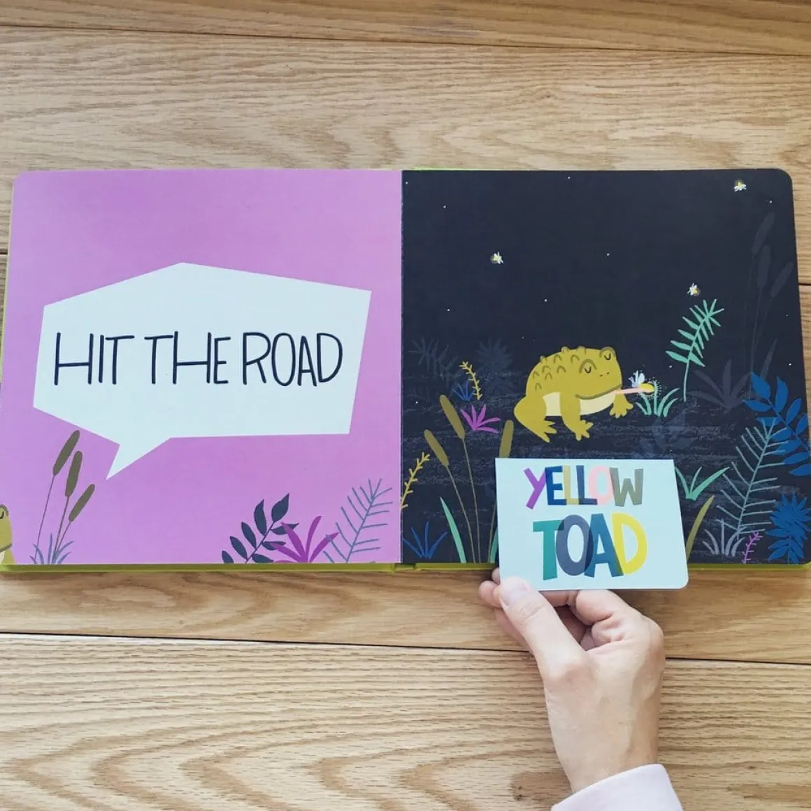 Lucy Darling Board Book - Gotta Go, Buffalo