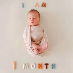 Lucy Darling Monthly Milestone Felt Letters - Neutral