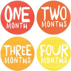 Lucy Darling Monthly Stickers - Rainbow Spectrum