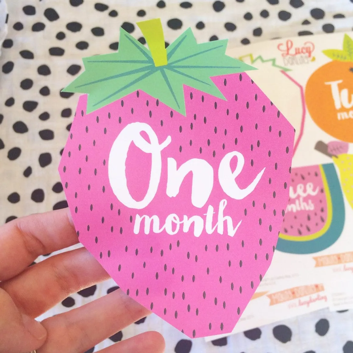 Lucy Darling Monthly Stickers - Tutti Frutti