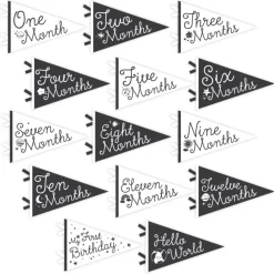 Lucy Darling Petit Milestone Pennant - Little Stargazer