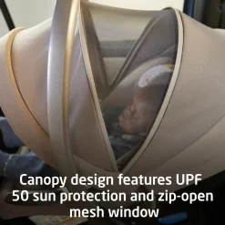 Maxi-Cosi Ambra Infant Car Seat - Escargot