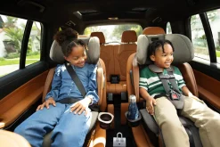 Nuna LUMN Harness to Booster Car Seat - Cedar
