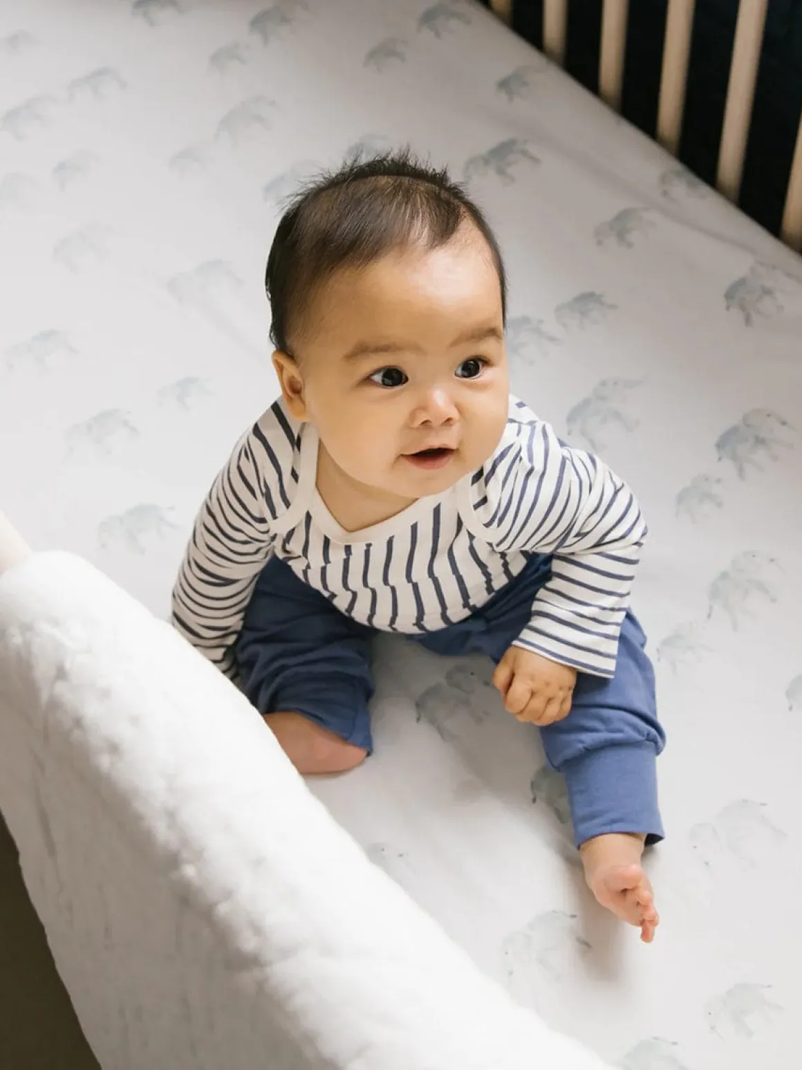 Petit Pehr Follow Me Organic Crib Sheet - Follow Me Elephant