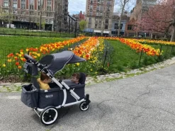 Pronto One (2 Seater) Stroller Wagon - White Frame / Burgundy Melange