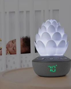 Skip Hop Terra Cry-Activated Soother