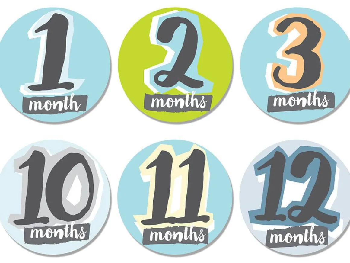 Sticky Bellies Hello, Baby Stickers - Newborn to 12 Months - Boy