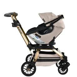 Stroll, Lounge, & Ride Travel System