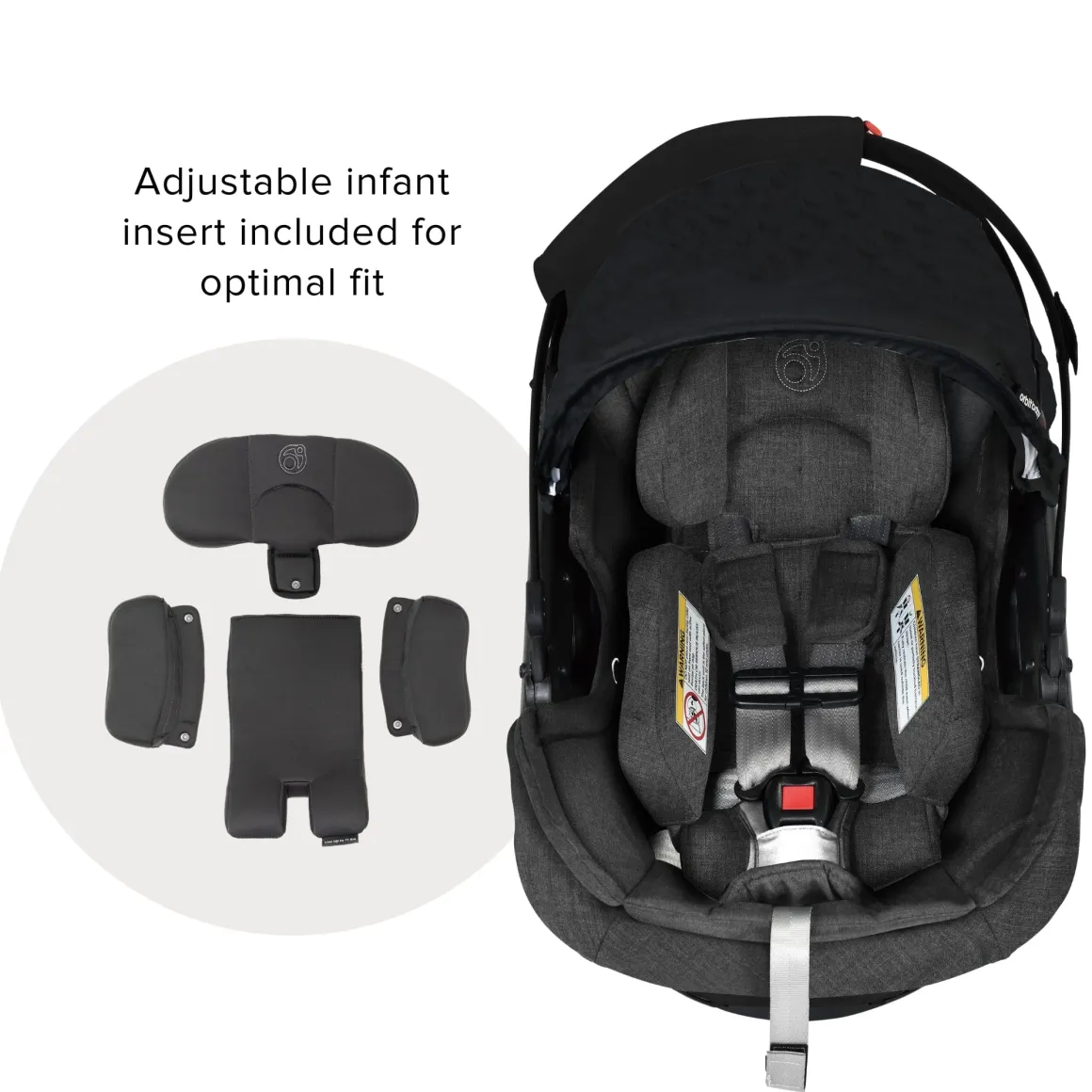 Stroll & Ride Travel System