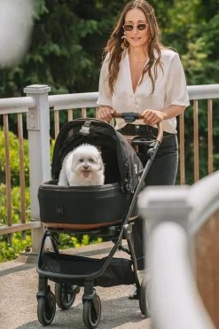 Tavo Pets Maeve + Roscoe 3-IN-1 Pet Protection System, Medium Flex - Sable