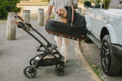 Tavo Pets Maeve + Roscoe 3-IN-1 Pet Protection System, Medium Rigid - Brindle