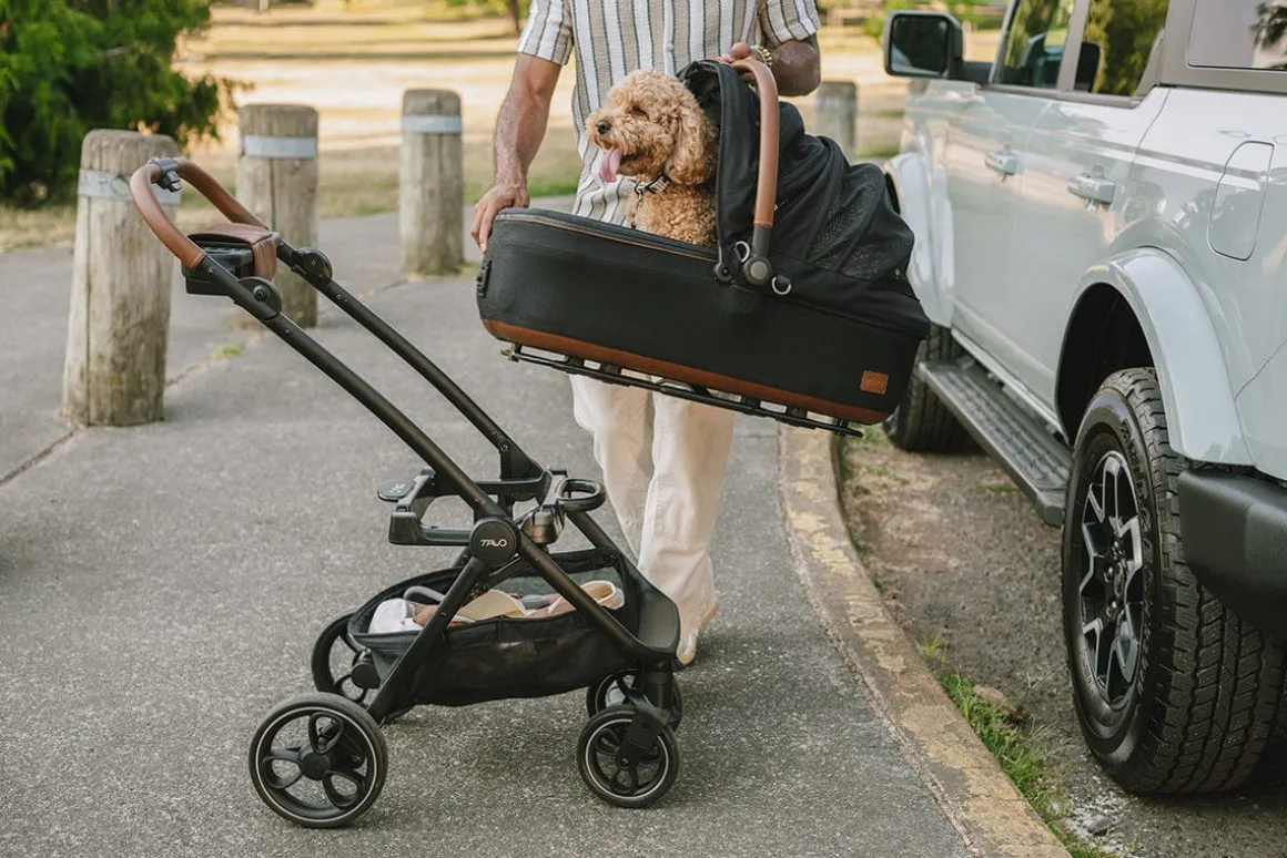 Tavo Pets Maeve + Roscoe 3-IN-1 Pet Protection System, Medium Rigid - Sable