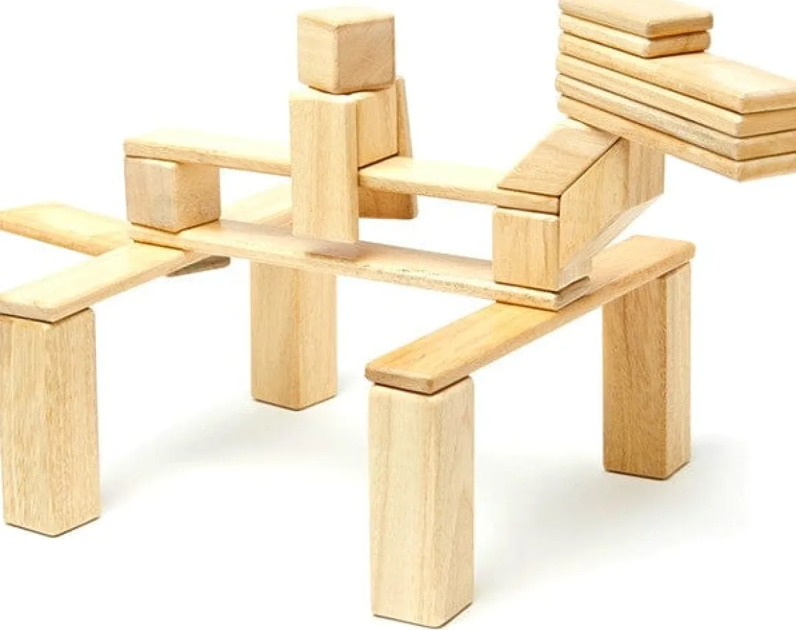 Tegu 24 Piece Magnetic Blocks Set - Natural