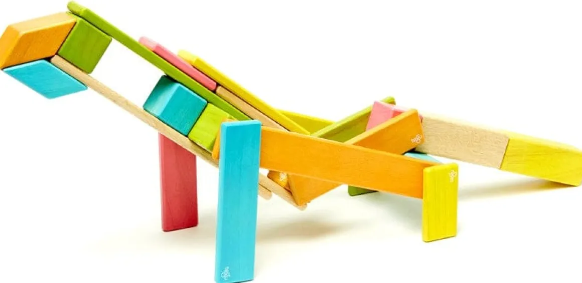 Tegu 24 Piece Magnetic Blocks Set - Tegu Tints