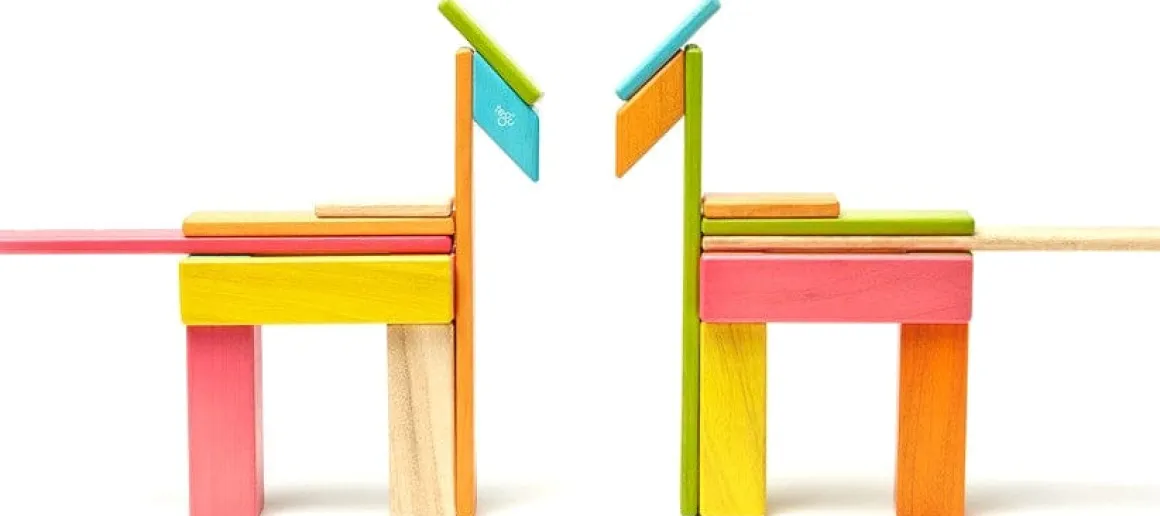 Tegu 24 Piece Magnetic Blocks Set - Tegu Tints