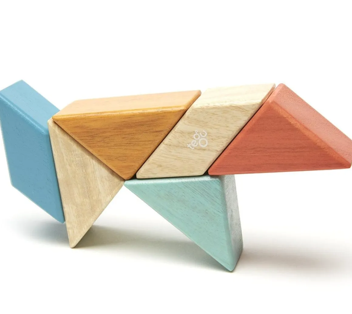 Tegu Pocket Pouch Prism 6 Piece Magnetic Blocks - Sunset
