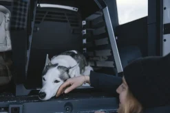 Thule Allax Dog Crate - XS