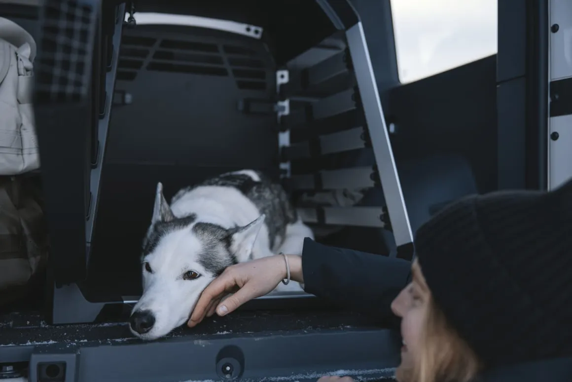 Thule Allax Dog Crate - XS