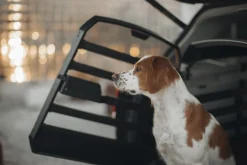 Thule Allax Dog Crate - XS
